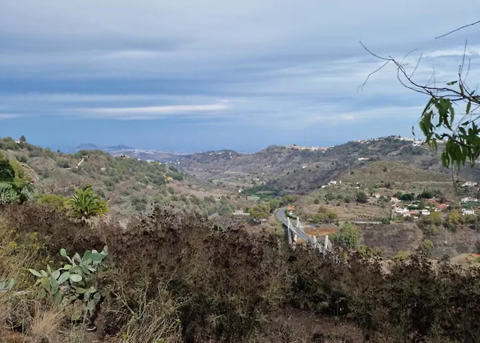 La Herbolera Vv *