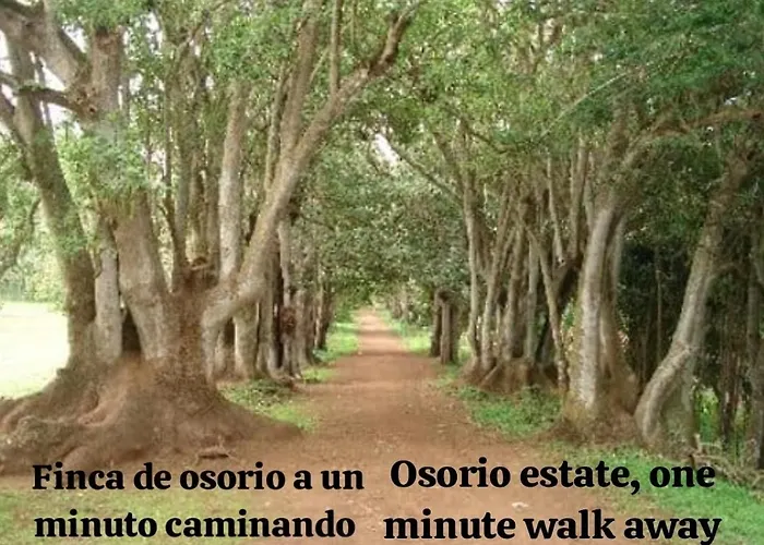 La Herbolera Vv