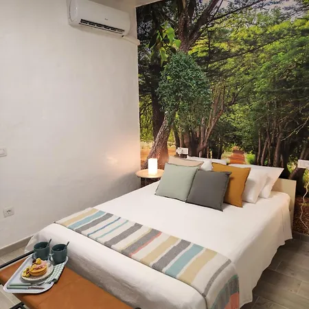 Tatil Evi La Herbolera Vv Teror