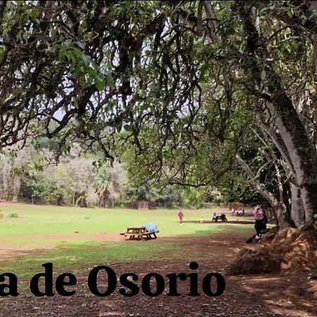 La Herbolera Vv Tatil Evi Teror