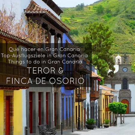 La Herbolera Vv Tatil Evi Teror
